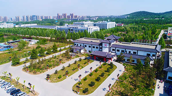 乐动（中国）